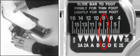 �E�B�Y�̑��� �u�����m�b�N�f�o�C�X Brannock Device