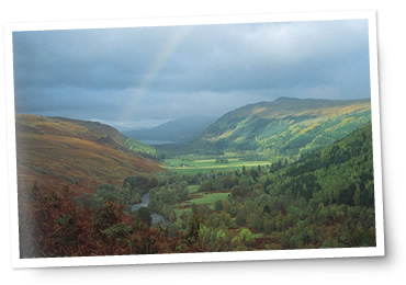 Johnstons of Elgin �W�����X�g���Y �C���[�W3 ���K�戵�X�F�V�hBLUE DUN
